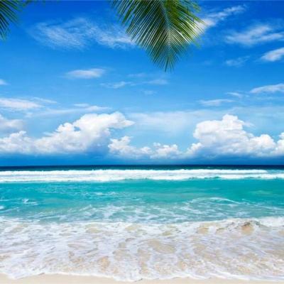 KU体育官方app下载截图