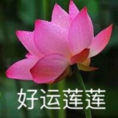 BET体育365投注官网