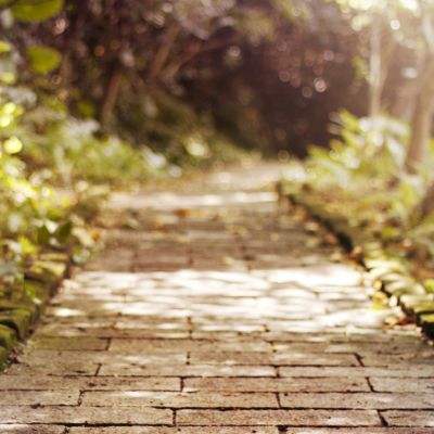 乐鱼平台app下载官网